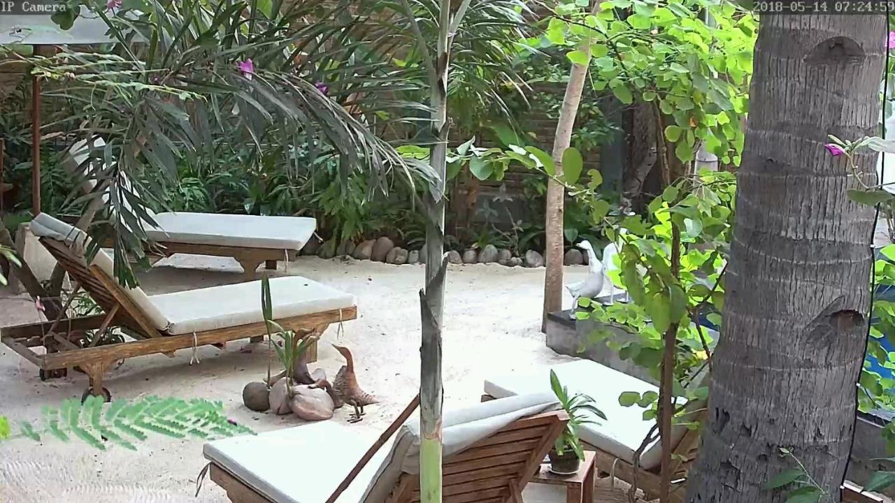 Villas Light House - Eco-Traditional Joglo غيلي تراوانغان المظهر الخارجي الصورة