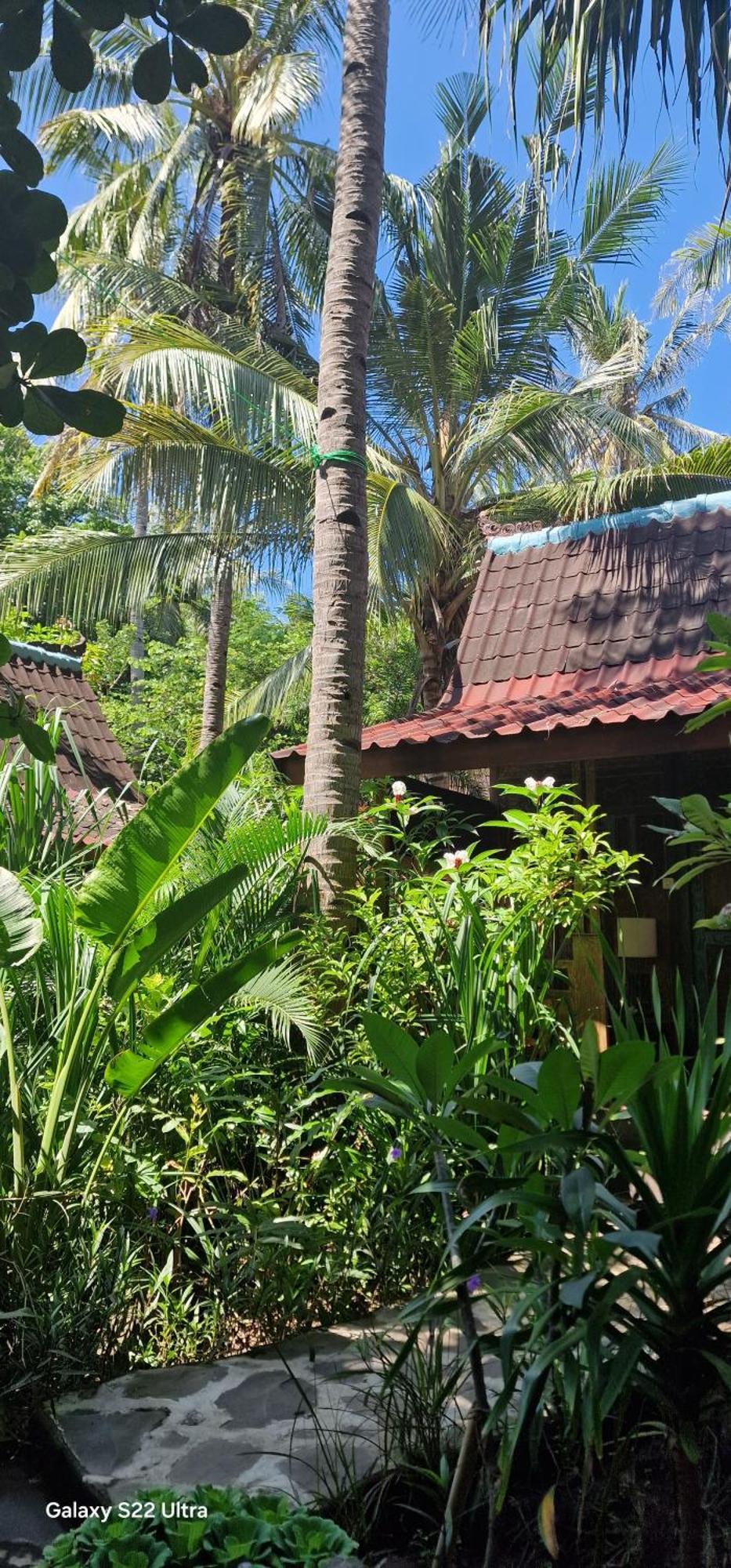 Villas Light House - Eco-Traditional Joglo غيلي تراوانغان المظهر الخارجي الصورة